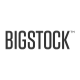 Bigstock