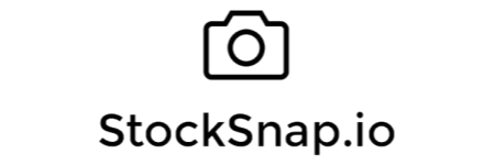 StockSnap StockSnap